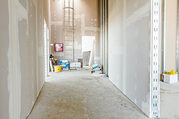 Best Drywall Installation  in Rose, LA